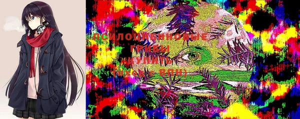 ALPHA-PVP Баксан