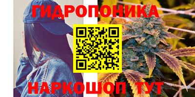 ПСИЛОЦИБИНОВЫЕ ГРИБЫ Берёзовский