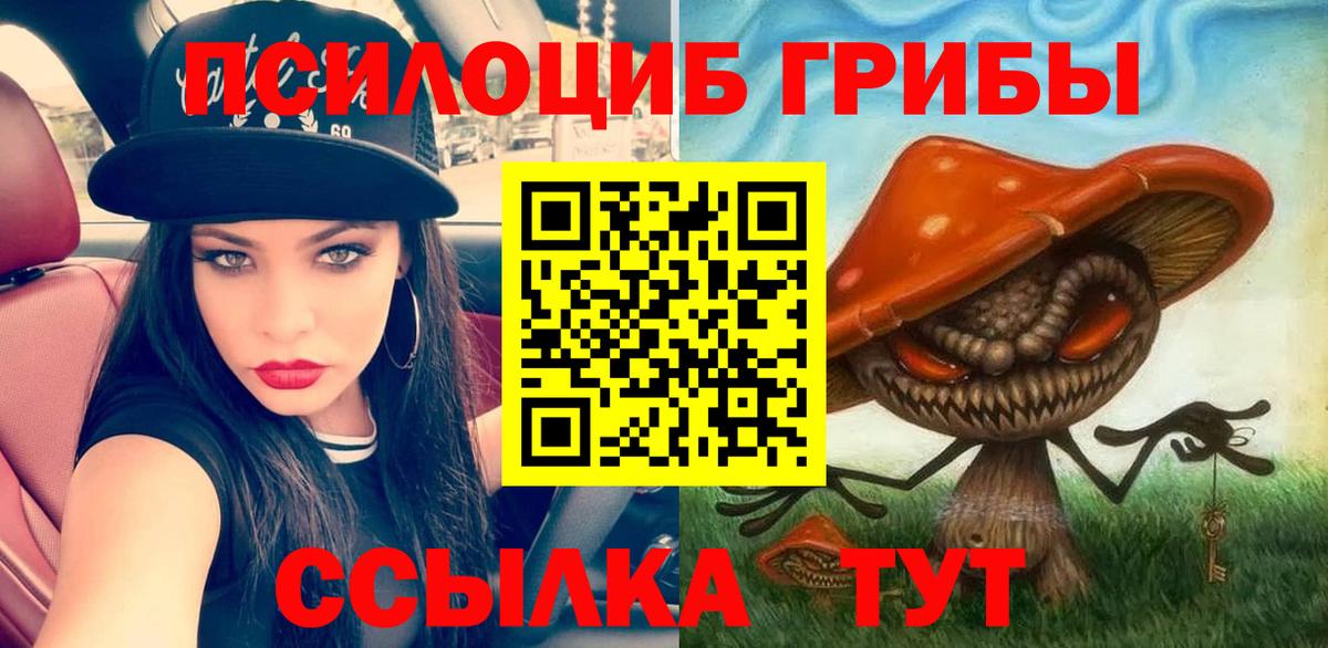 Галлюциногенные грибы Psilocybe  Вход с VPN  Бахчисарай 