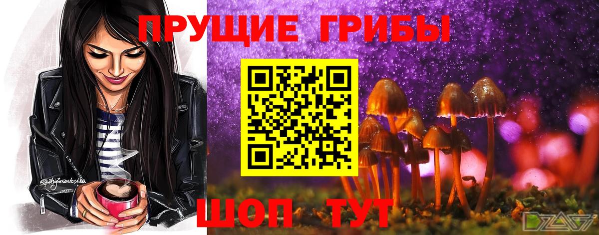 Псилоцибиновые грибы Psilocybine cubensis Бахчисарай