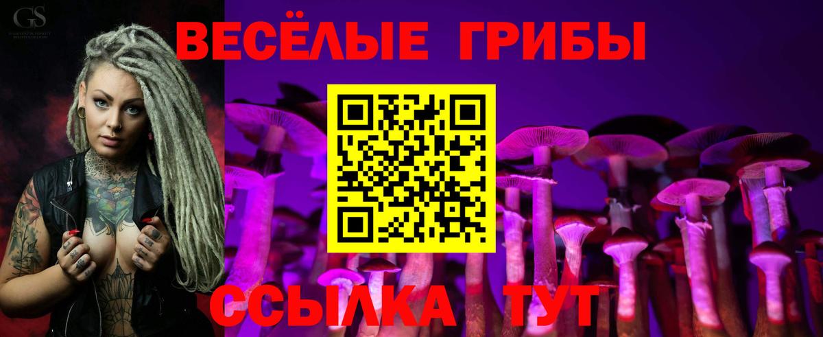 Галлюциногенные грибы MAGIC MUSHROOMS  цена наркотик  Бахчисарай 