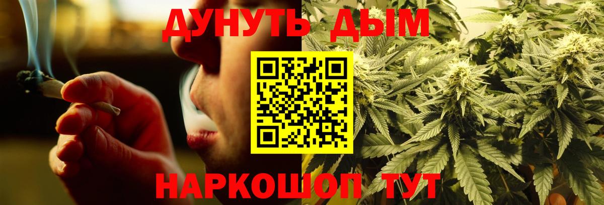Бошки Шишки SATIVA & INDICA  Канабис план  Бахчисарай 